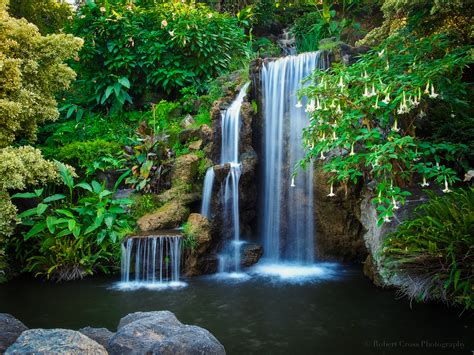 Wallpaper : pemandangan, air terjun, alam, lumut, hijau, tropis, aliran ...