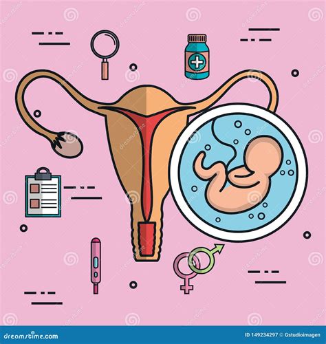 Fetus In An Uterus Icon In Trendy Design Style Fetus In An Uterus Icon