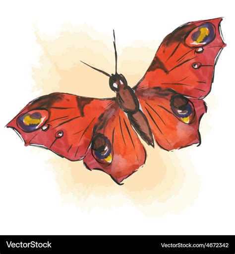 Red butterfly Royalty Free Vector Image - VectorStock