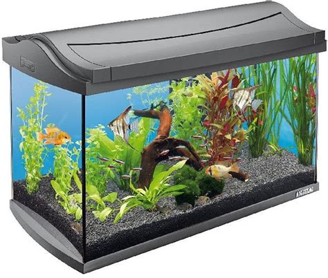 Imported Fish Aquariums At Best Price In Delhi ID 3444421 Star