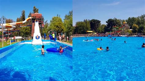 Piscina Natural Toboganes Y Una Hamster Ball Gigante El Parque