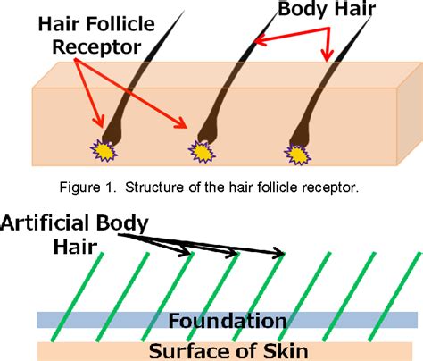 Figure From Tactile Enhancement Structure Mimicking Hair Follicle