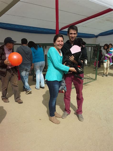 JORNADA DE ADOPCION ADOPCIONES CRC ÑUÑOA