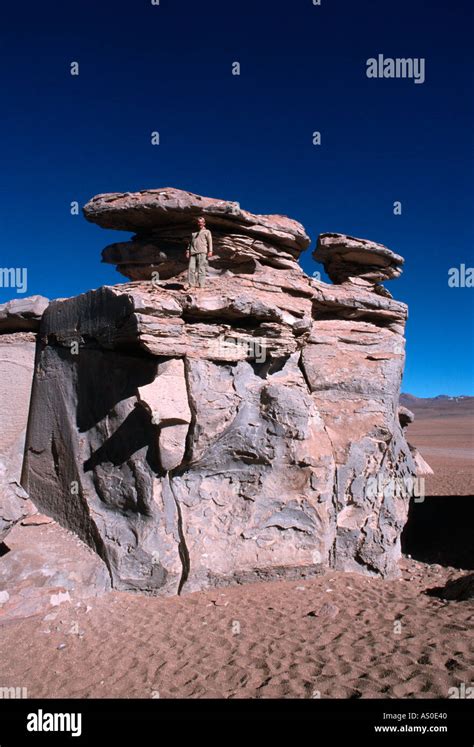 Valle De Las Rocas Bolivia Stock Photo Alamy