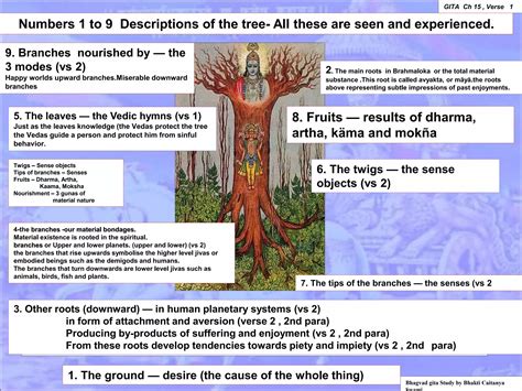 Bhagvad Gita chapter 15 ,(revised 2021) Purusottama Yoga (The yoga of