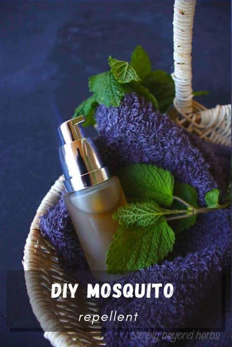 Lemon Balm Mosquito Repellent Simplybeyondherbs