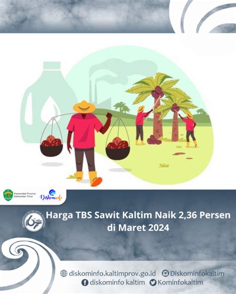 Harga TBS Sawit Kaltim Naik 2 36 Persen Di Maret 2024 Diskominfo Prov