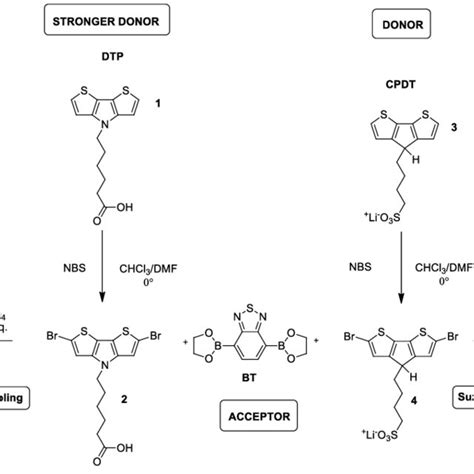 Synthesis Of Polymers P1 And P2 Download Scientific Diagram