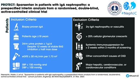 Sparsentan in IgA Nephropathy : The PROTECT trial — NephJC