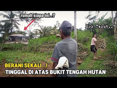 Tak Disangka Kehidupan Di Kampung Terpencil Di Tengah Hutan Hening