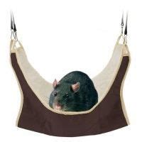 Hamac Pour Hamsters Et Souris Cm Cdiscount