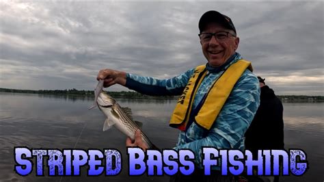 Boat Fishing For Striped Bass Miramichi River New Brunswick Youtube