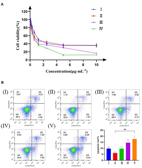 The Cytotoxicity Of Ptx Plga B Raw Nps In Vitro A Effects Of