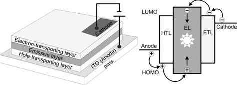 The Basic Structure Of Organic Light Emitting Diodes Download