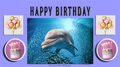 Dolphin Birthday Greeting Card