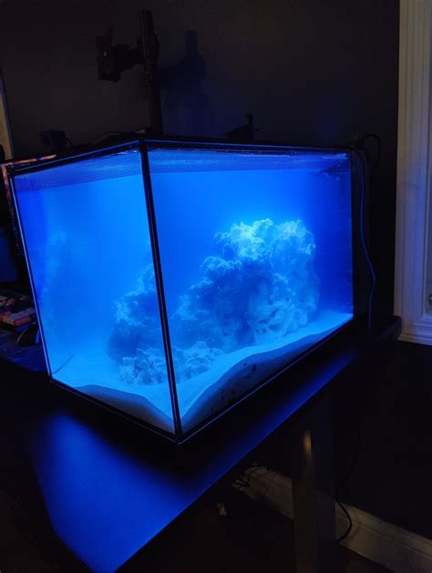 Build Thread Fluval Evo 13 5 Desk Ornament Reef2Reef