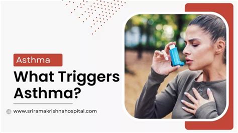 Ppt What Triggers Asthma Powerpoint Presentation Free Download Id 12526959