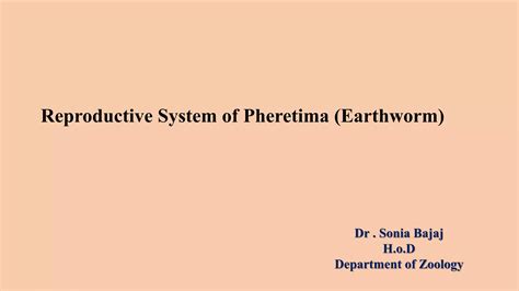 Earthworm reproduction | PPT