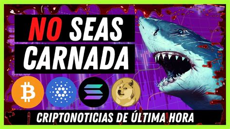 🚨 Noticias Criptomonedas Hoy 👉hold A Muerte Bitcoin Ethereum