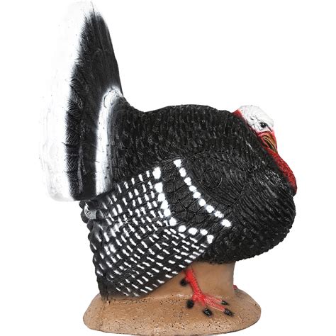 Delta Mckenzie Backyard 3d Target Strutter Turkey Shooting Targets At