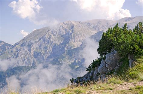 I Parchi Naturali Pi Belli In Italia Quali Sono E Dove Si Trovano