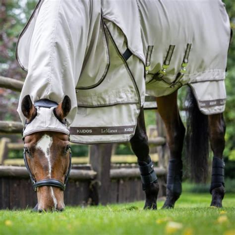 LeMieux Kudos Sweet Itch Fly Rug Chelford Farm Supplies