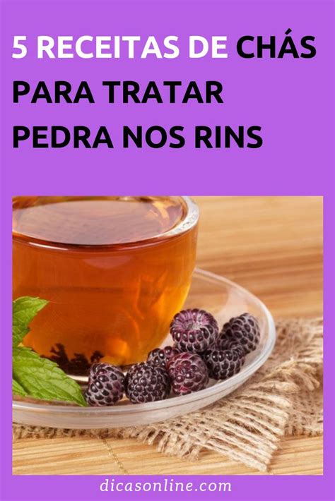 Pedra nos Rins 5 Tipos de chás para tratar o problema Food Natural