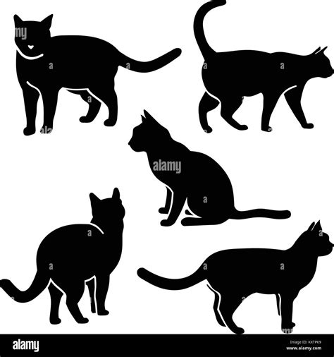 modern Vector Silhouette of cat shadow logo concept Stock Vector Image ...