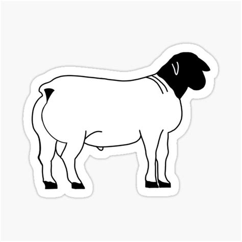 Dorper Ram Sticker For Sale By Steven Khansefid Redbubble