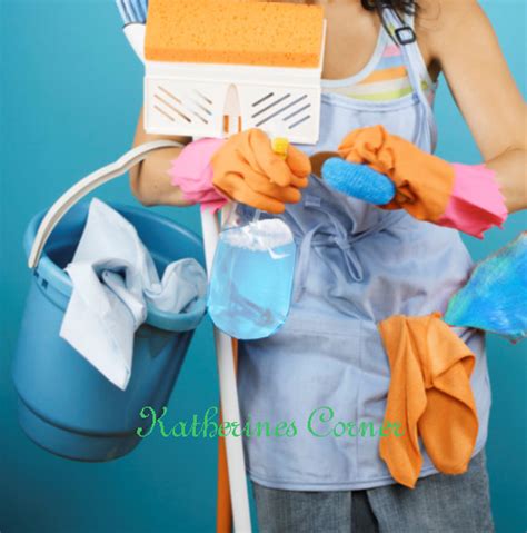 Cleaning Product Reviews – Katherines Corner