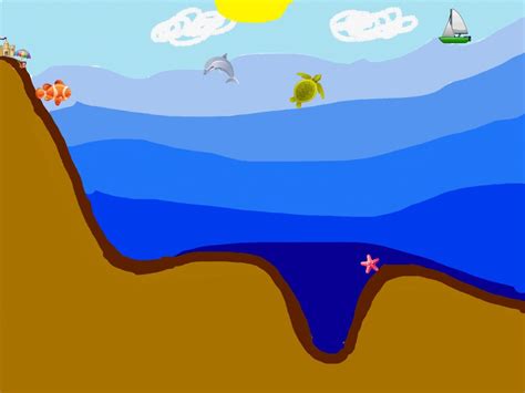 Ocean Zones Diagram | Quizlet