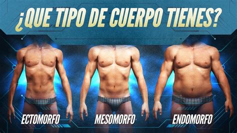 C Mo Debes Entrenar Seg N Tu Tipo De Cuerpo Ectomorfo Mesomorfo