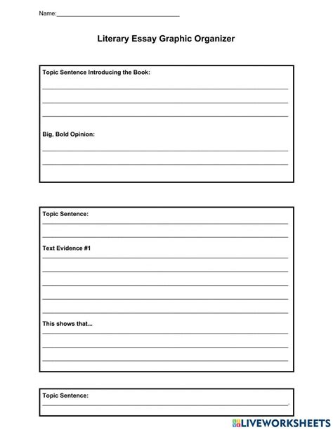 Literary Essay Graphic Organizer Worksheet Live Worksheets