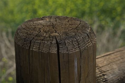 Wooden Fence Post Free Stock Photo - Public Domain Pictures