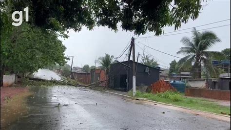 Temporal derruba árvores causa deslizamentos e compromete estrutura de