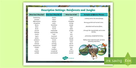 Ks Rainforest Descriptive Writing Word Mat Teacher Made