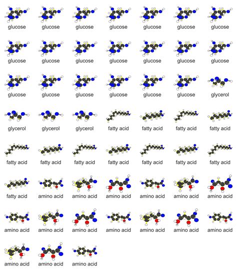 EnvLit - Working Groups