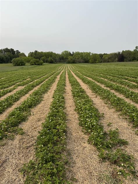 Sunny Hill Farm-Green Bay | Suamico WI
