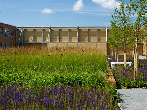 Barnfield South Academy Hülle Architects