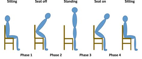 Phases of the Sit-to-Stand movement. | Download Scientific Diagram