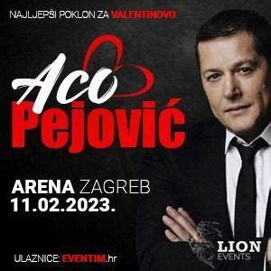 Aco Pejovic U Areni Zagreb 11 02 Fan Pit 2 Karte