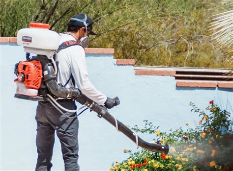 Tucson Mosquito Season: Peach Pest Co's Prevention & Control