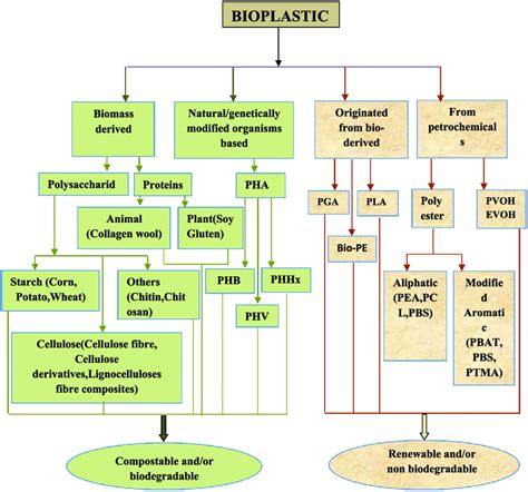 Classification Of Bioplastics Based On Sources Download Scientific