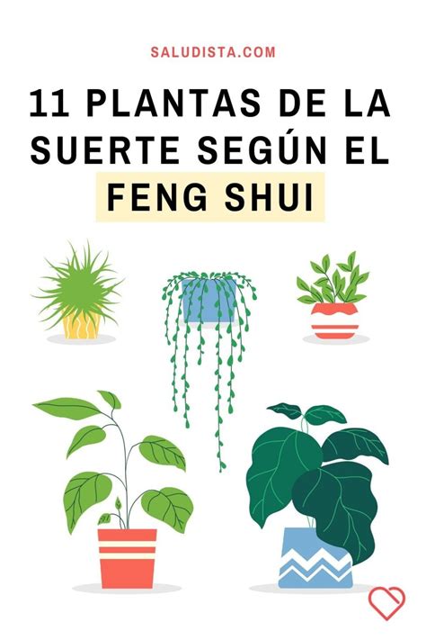 11 Plantas De La Suerte Según El Feng Shui Y Dónde Ponerlas En Su Casa