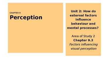 Vce Psychology U Aos Visual Perception By Bstore Tpt