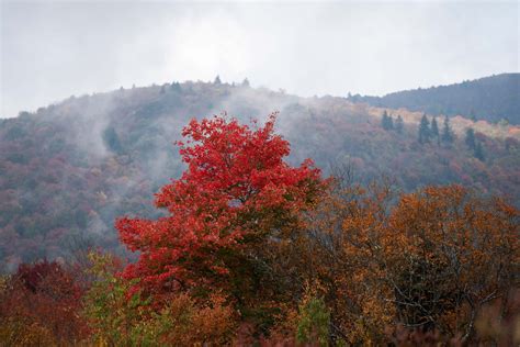 Blue Ridge Fall Foliage Report — Soda Citizen - Photo Stories from the ...