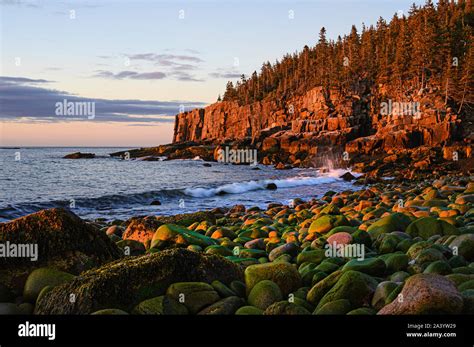 Otter Cliff at sunrise in Acadia National Park, USA Stock Photo - Alamy