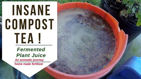 insane compost tea fermented plant juice youtube