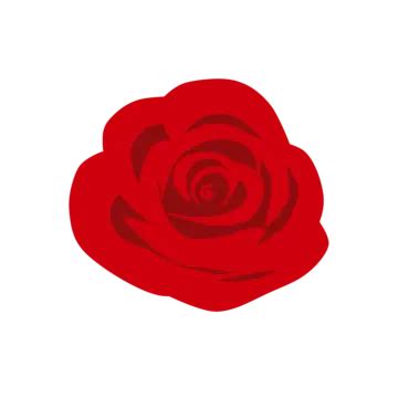 Red Rose Flower Image Vector, Red, Rose, Flower PNG and Vector with Transparent Background for ...