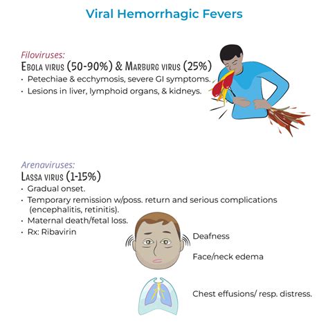 Immunology Microbiology Glossary Viral Hemorrhagic Fevers Ditki